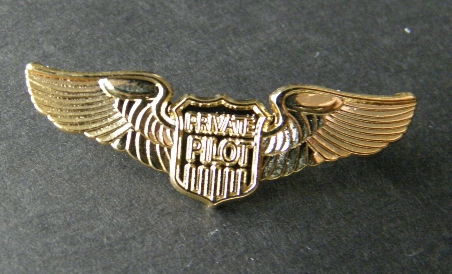 Private Pilot Aircraft Civilian Gold Colored Wings Lapel Pin Badge 15