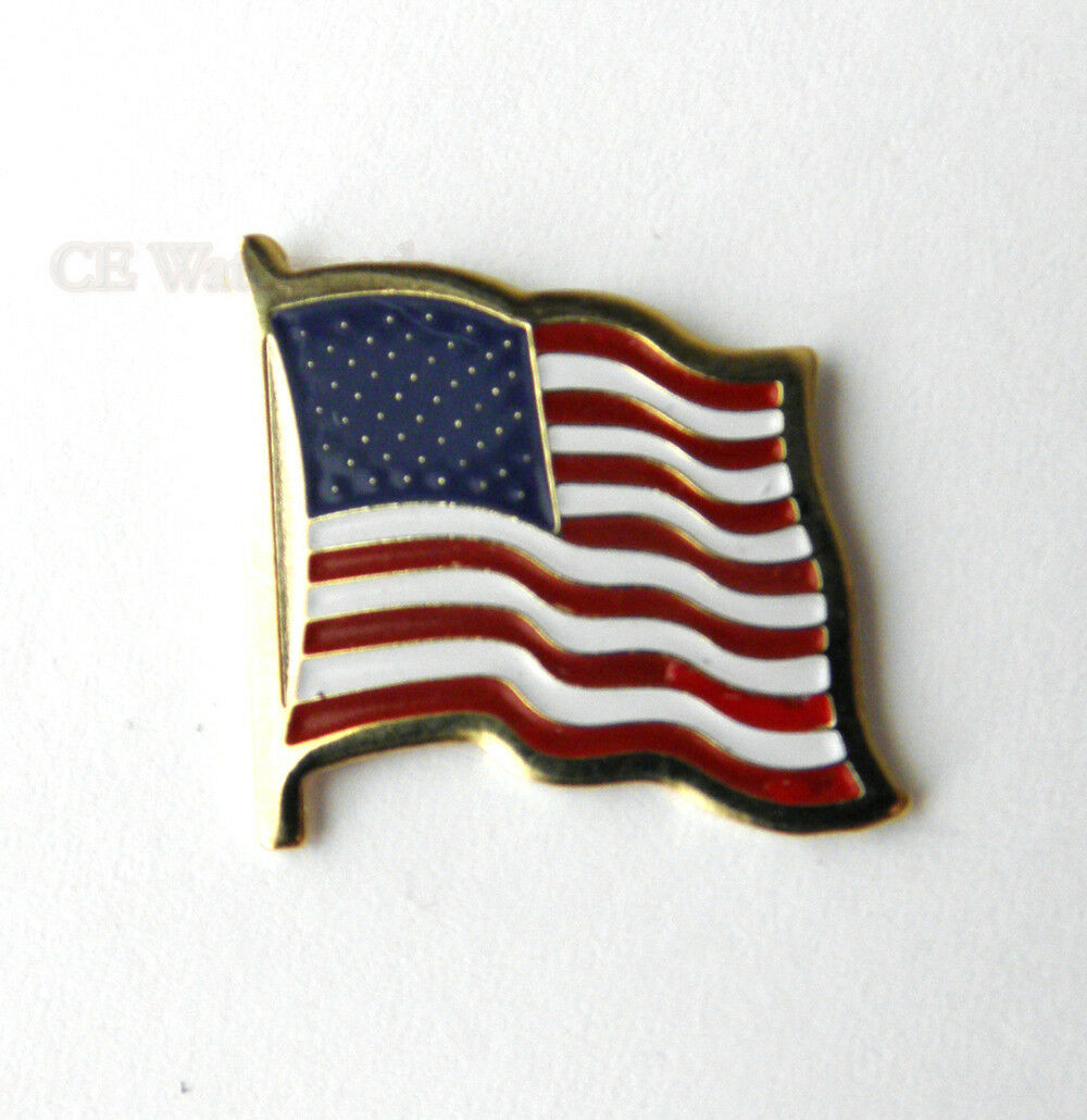 UNITED STATES WAVY FLAG USA LAPEL PIN BADGE 1 INCH | Cordon Emporium